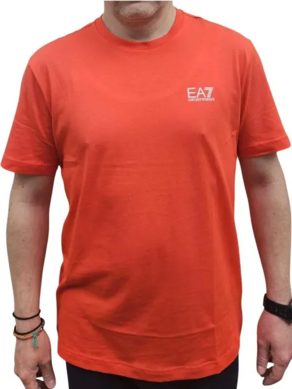 Tricou Train Logo Series M Ss Extended Logo Cc