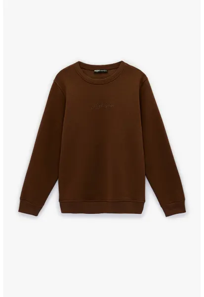 Bluza regular fit de trening cu decolteu la baza gatului - Maro inchis