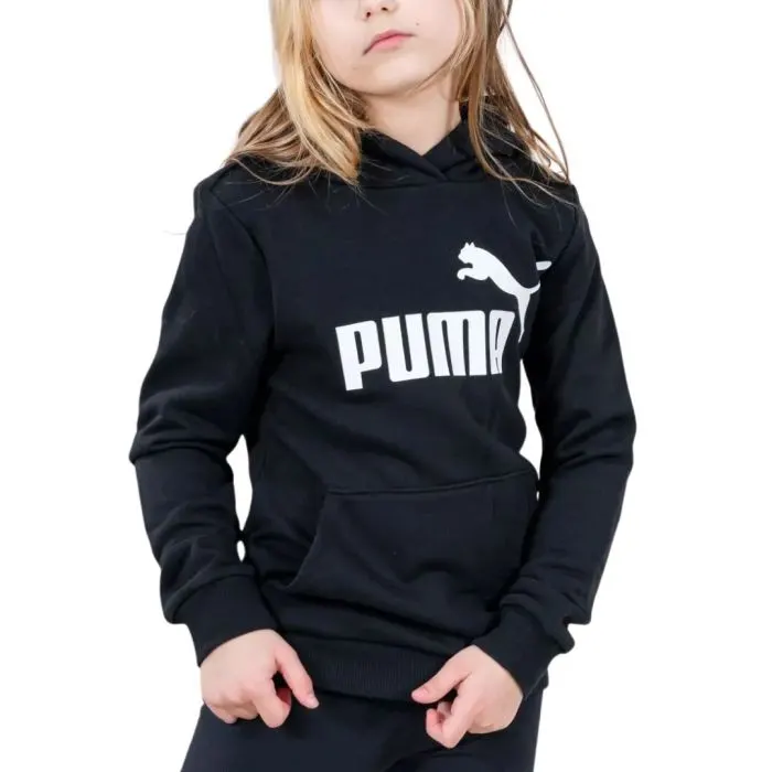 ESS Logo Hoodie TR G Puma Black 587030-01