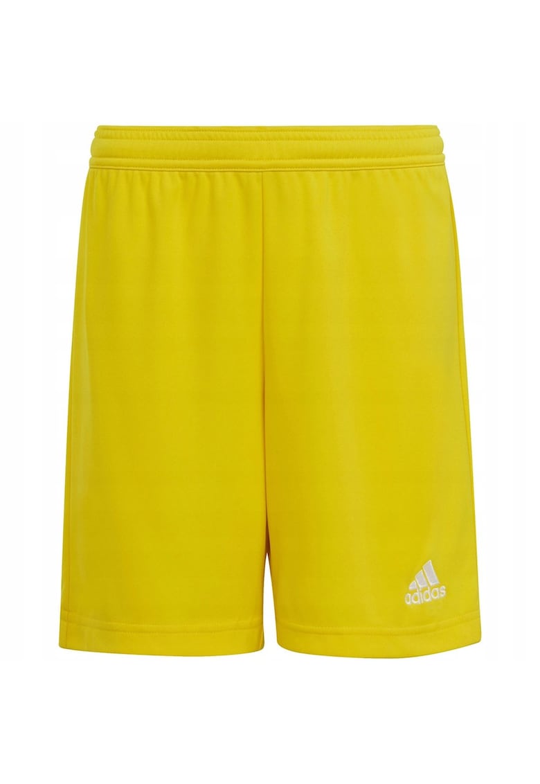 Pantaloni sport  Galben