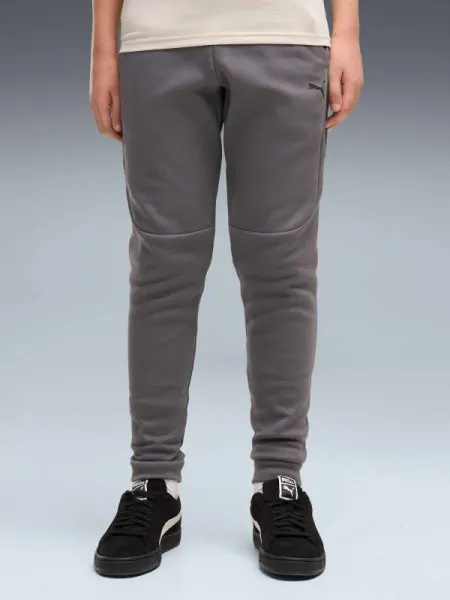 Pantaloni sport Pumatech Elevated Dk B