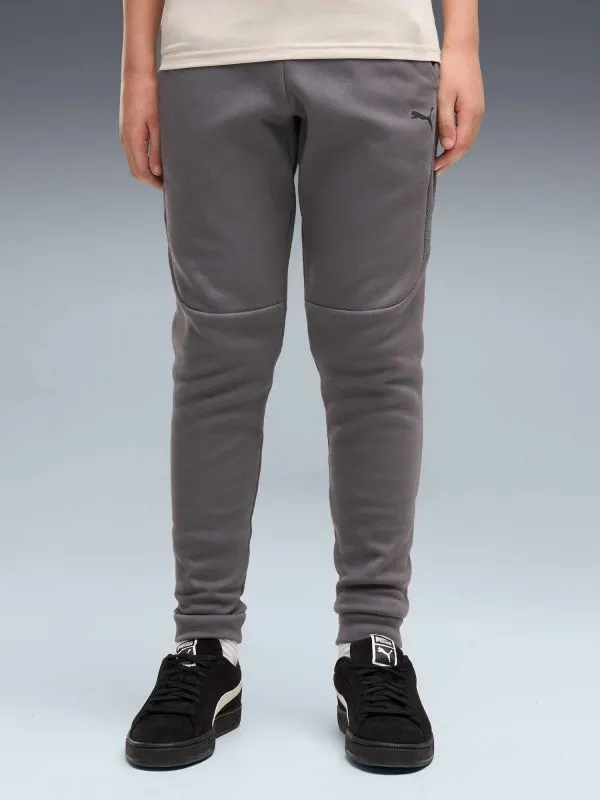 Pantaloni sport Pumatech Elevated Dk B