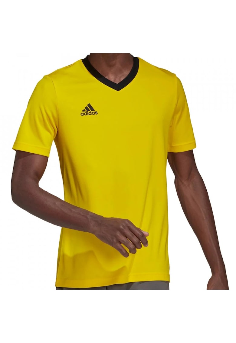 Tricou  Entrada 22 barbati - Galben