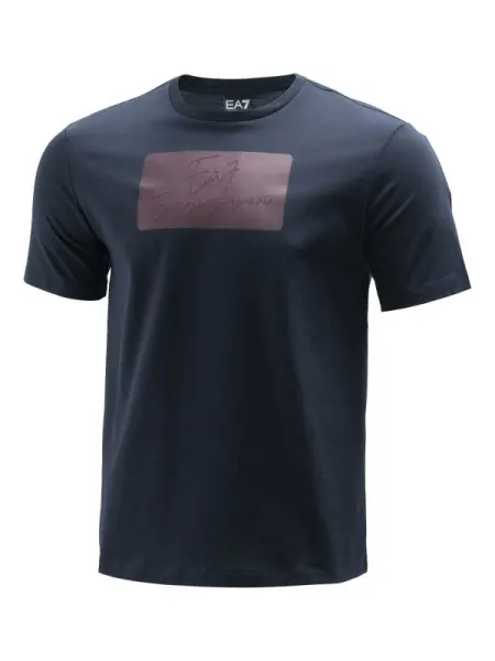 Tricou Train Logo Series W Ss Max