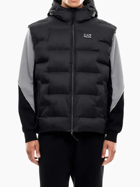 Vesta Mountain M Polar Big Logo